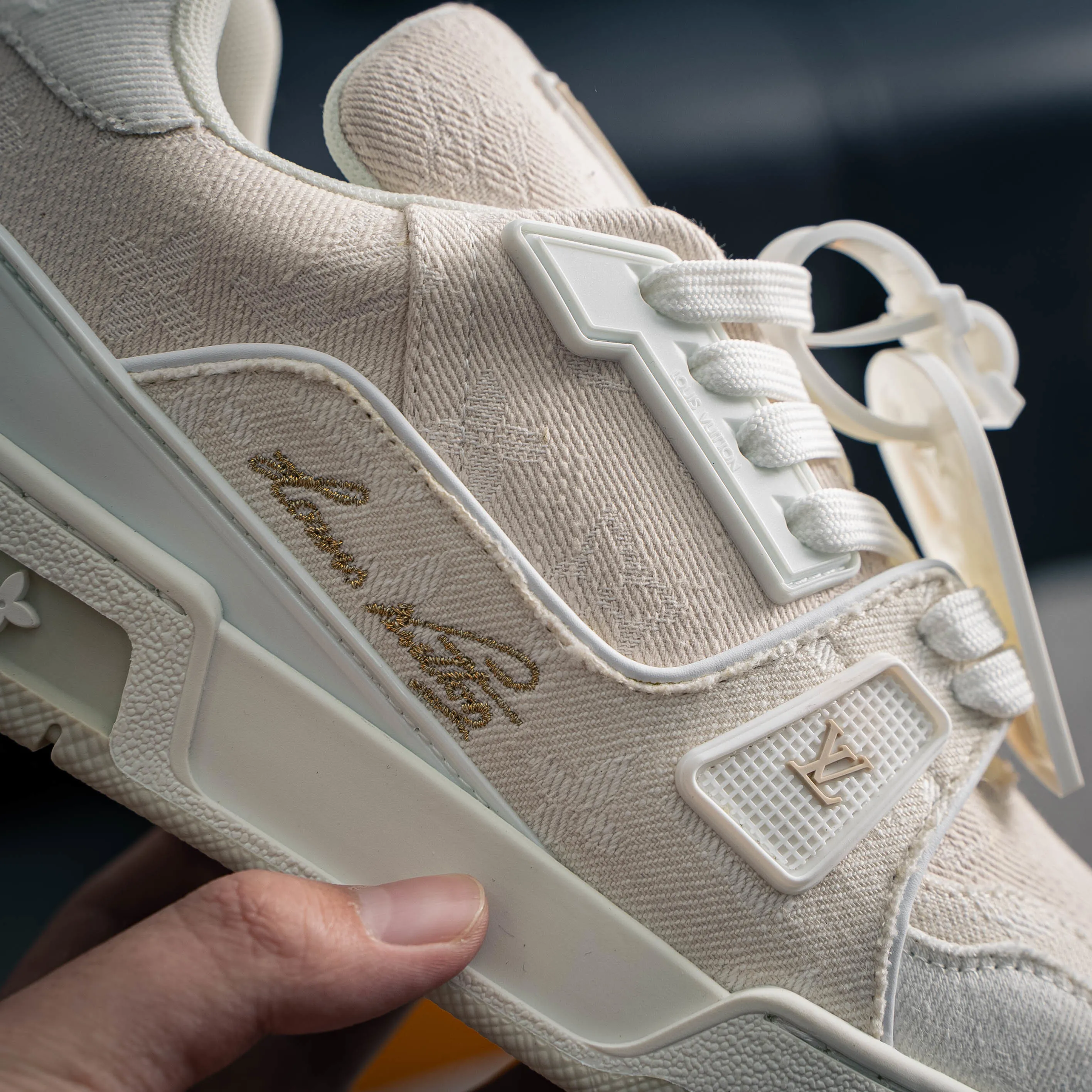 Louis Vuitton Trainer lv Sneakers Shoes Shoes